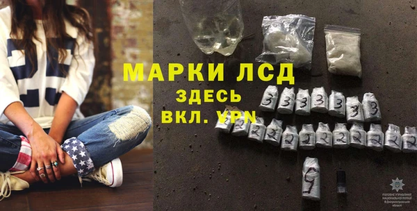 ПСИЛОЦИБИНОВЫЕ ГРИБЫ Елабуга