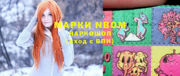 ПСИЛОЦИБИНОВЫЕ ГРИБЫ Елабуга